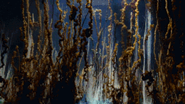 硅酸鈉的水溶液中各金屬的神奇花園景象 硅酸鈉的水溶液中各金屬的神奇花園景象